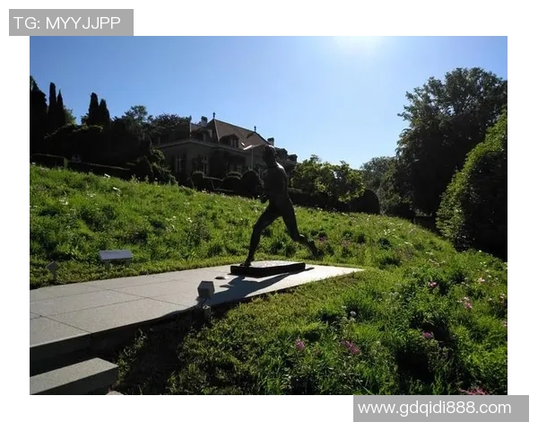 沙夫豪森与洛桑体育激战回顾赛场精彩瞬间与详细事件分析